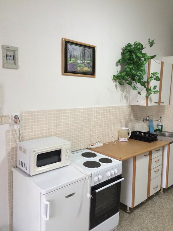 Apartment Tesla